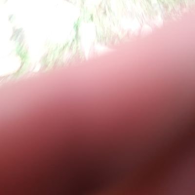 Kacimo80048645's profile picture. sex