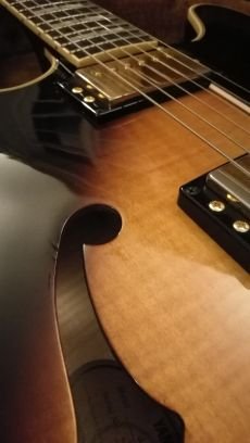 Guitar Al Profile