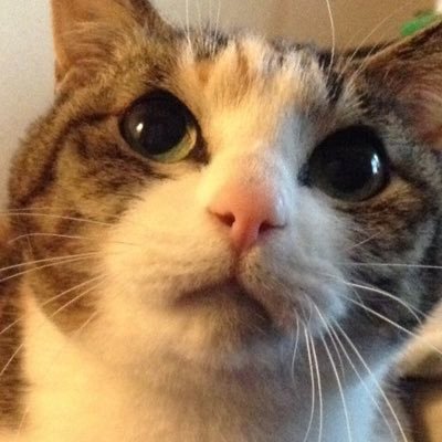 西都速記株式会社 代表取締役 上野 佳之 速記の日 stevia steno 速記文字風入力アプリ stevia T Co Mwnduklrlv 画像は4 7インチディスプレイでの入力時 画面が小さくてもそこそこ書けます 西都速記株式会社 代表取締役 上野 佳之 速記の日 stevia steno 速記文字風入力アプリ stevia T Co Mwnduklrlv 画像は4 7インチディスプレイでの入力時 画面が小さくてもそこそこ書けます