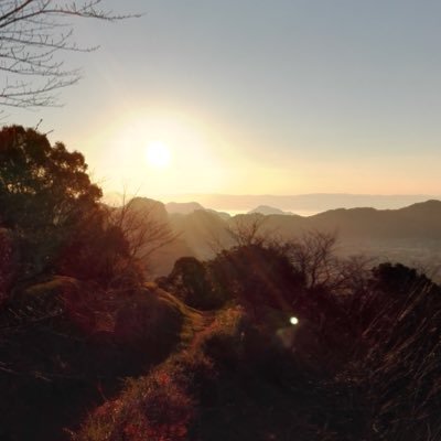 wgutiSifc9IVCNy's profile picture. ウマジョ歴3年の帯狙いが好きな23歳の女性です💕私がいつも投票するのは、帯狙う為、穴馬ちゃん🐴狙いで大きく張る予想をしています。フリーライターでもあります💕㊗️良かったらフォローしてください🙇‍♂️🙇‍♂️よろしくねん( ＾∀＾)