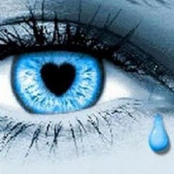 JosRami35361876's profile picture. 