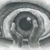 Seeing Eye (@clray67) Twitter profile photo Seeing Eye (@clray67) Twitter profile photo