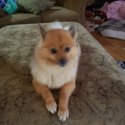 kimber19671994's profile picture. I'm kind hearted