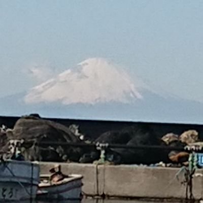 KmE6ETW08ok0RLz's profile picture. ドカティーSS900 ビラーゴ250 ジャイロ(ミニカー仕様)
バイク大好き💕 寒いの大嫌い💦