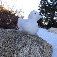 basicallyRk (@basicallyrk) 's Twitter Profile