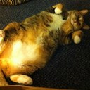 Stephen Earle - @BigBoiEarle - Twitter