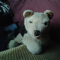 ShippouKun (@kunshippou) 's Twitter Profile