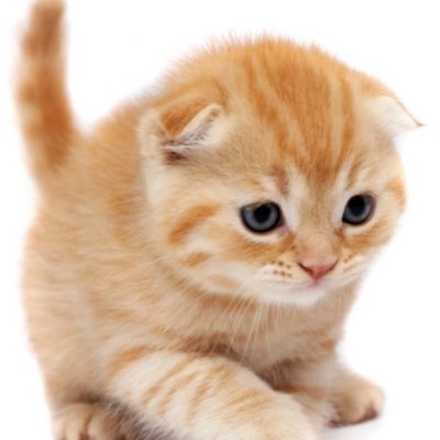 ___Yo_shi___'s profile picture. 既に埋もれた社会問題提起が多めになってる？どーした日本？これでも私、元仏教徒なんだが？本当は人を応援する側ですけど？悪目立ちする問題者がおおすぎなんよ 本垢だと立場的に本心語れなくなったのでひっそりこのアカウントで語ってみる