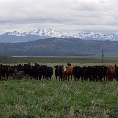 SRR promotes social, ecological, and economic sustainability of rangelands by conducting research, communicating findings, and providing a forum for networking.