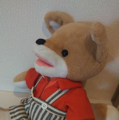 ねこけだまさんのプロフィール画像