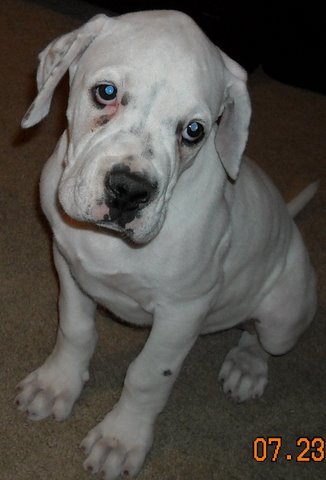 Mrlonghair1971's profile picture. longhair