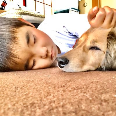 yukari19870502's profile picture. 