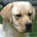 Sandy Bloom - @Spoton2 - Twitter