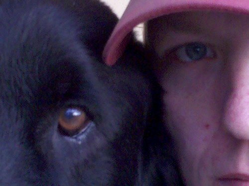 TRUTH seeker/ disseminator/ proclaimer, writer, blogger, dog lover, activist