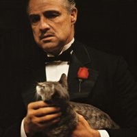 Tony Figs (@tonyfigs3) 's Twitter Profile