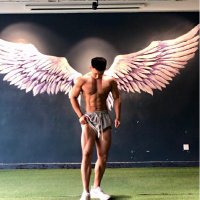 肌肉无毛 (@davidaidj) 's Twitter Profile