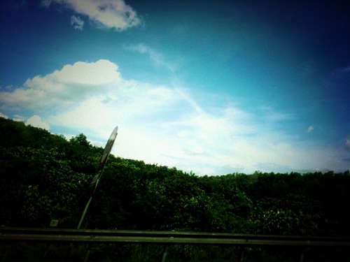 hooiwan's profile picture. 