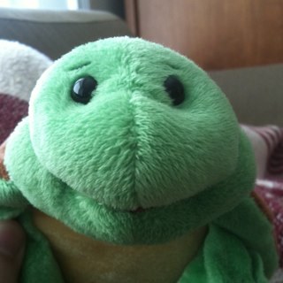 ljg_1970's profile picture. Criminal Lawyer; Brazilian Jiujitsu Player; Biblical History Enthusiast