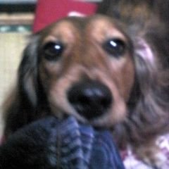 harukei836's profile picture. 宜しくお願いします