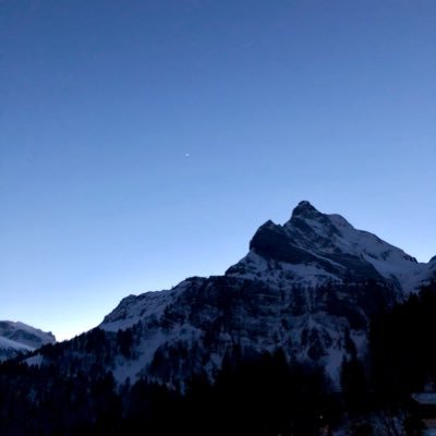 ShorttBarry's profile picture. Biochemist with a passion for fundamental science and clear communication of complex ideas. Long suffering Irish rugby supporter.