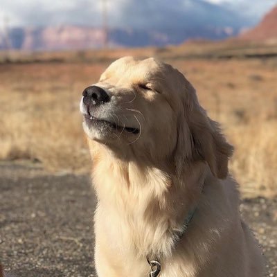 yXTHgL1YvQYK8uy's profile picture. 26101993