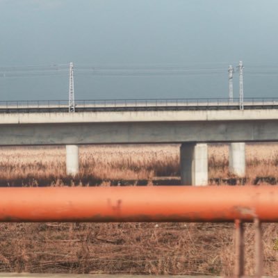 XC59ypS5ZZsZYVD's profile picture. 