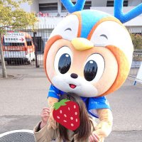 雪いちご🐥 (@vivikunioti) Twitter profile photo