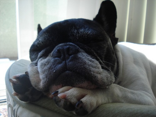 sUEsuKbAe's profile picture. 