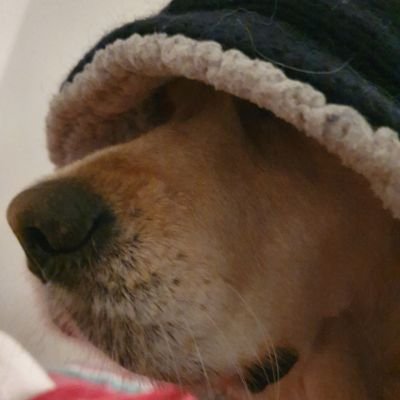 Editeur du site my-crypto-hub : https://t.co/8ktSTsloXa Solution de hub pour centraliser vos portefeuilles de cryptomonnaie.