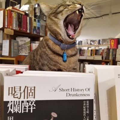 IStandWithUkraine/ 小小書房沙貓貓さんのプロフィール画像