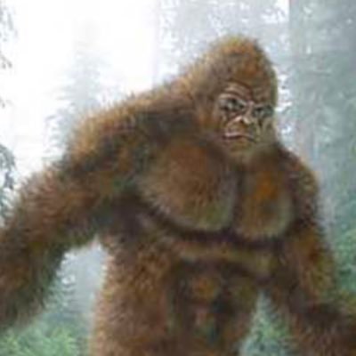 Medium writer and owner on Bigfoot and cryptids critical thinking and debates on facebook .