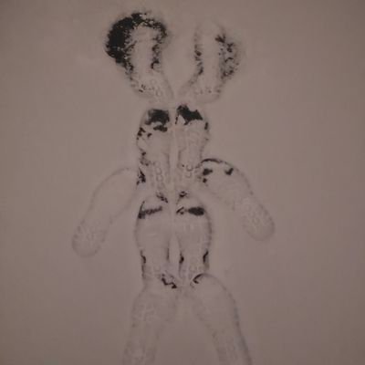 jorenwu1's profile picture. 