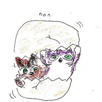 たまご@猫とごはん (@tamago_nanakama) 's Twitter Profile Photo たまご@猫とごはん (@tamago_nanakama) 's Twitter Profile Photo