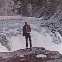 SwiggitySwootBoot (@nicklauwers2) 's Twitter Profile