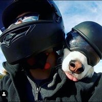 albert (@bertall88) 's Twitter Profile