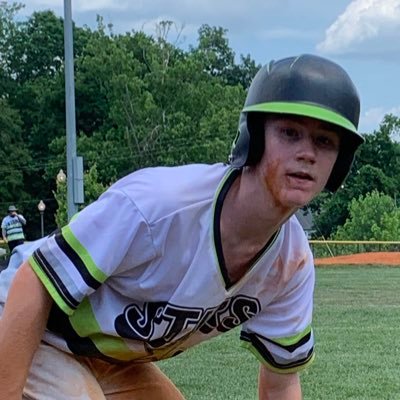 tina_vogelsang's profile picture. 