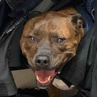 DannyDoubleYew's profile picture. Not fit for human consumption.