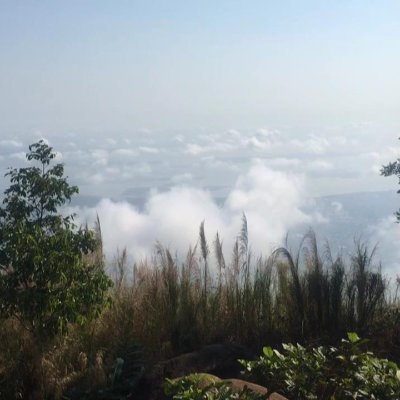 LangTha44237496's profile picture. 