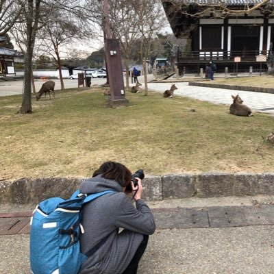 ゐな仏さんのプロフィール画像