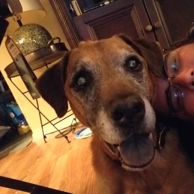 Arshen's profile picture. Owner of Final Round Game Shop