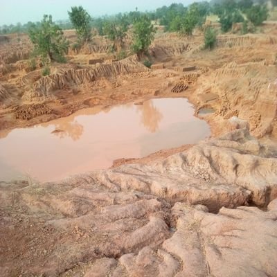 BashirABello10's profile picture. 