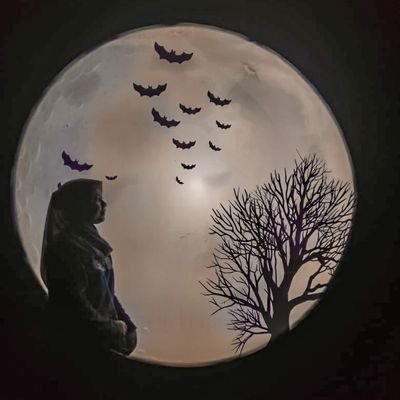 bellarns's profile picture. 