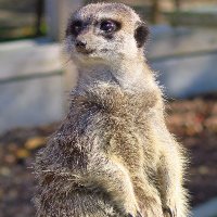 DW (@dwwork2) 's Twitter Profile Photo