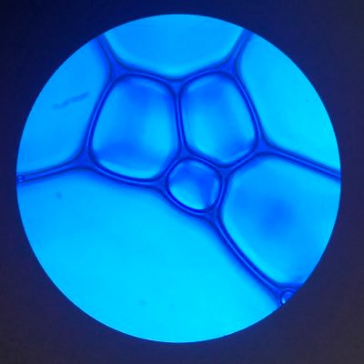 Leerzeichen18's profile picture. グノーシス松島