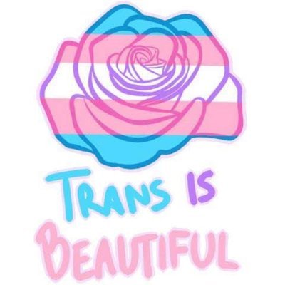 I  am a mtf transgender and proud of it