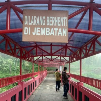 pesaham's profile picture. black tea over coffee