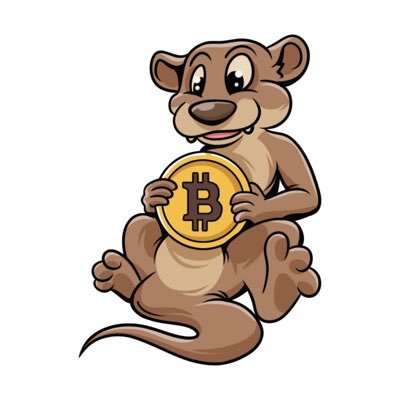 The Crypto Otter