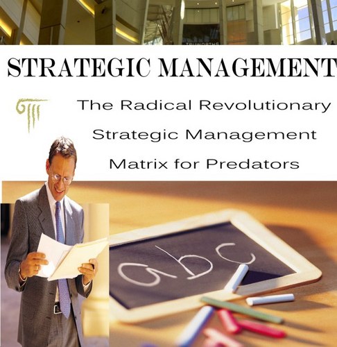 Author of Strategic Management. A radical book on strategy, and all things cognitive...http://t.co/HdwNUOEEjW