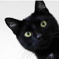 Karissa Whiting (@karissawhiting) 's Twitter Profile Photo Karissa Whiting (@karissawhiting) 's Twitter Profile Photo