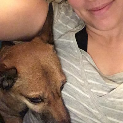 gedankenschwall's profile picture. Mama von K1, der #TasmanischeTeufel; Frau vom Mann und Frauchen von H1 und H2; #notjustsad